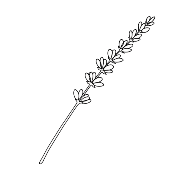 Ilustración del linalool, terpeno floral con notas de lavanda.