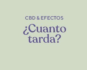 imagen de fondo verde sobre texto morado "cuanto tarda?"