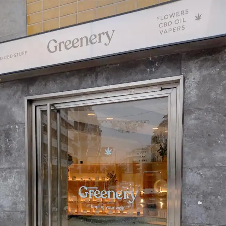 Tienda Greenery 420 Donostia. San Sebastián