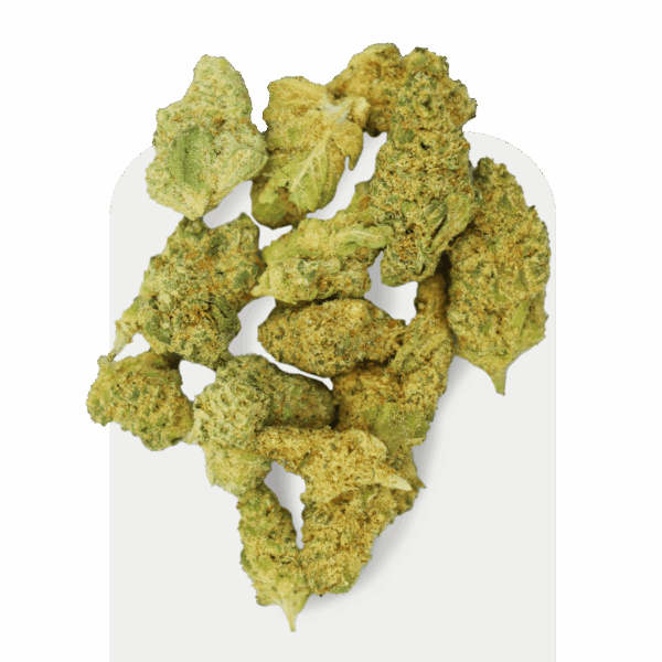 Popcorn de CBD Jet Fuel Indoor, variedad cultivada en interior.