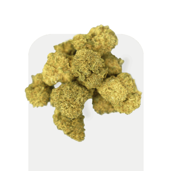 Flores de CBD Popcorn Tropical Runtz de Greenery 420, cogollos pequeños indoor de CBD aromáticos y afrutados.