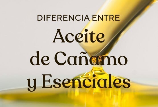 Beneficios y diferencias entre los aceites de cañamo y esenciales