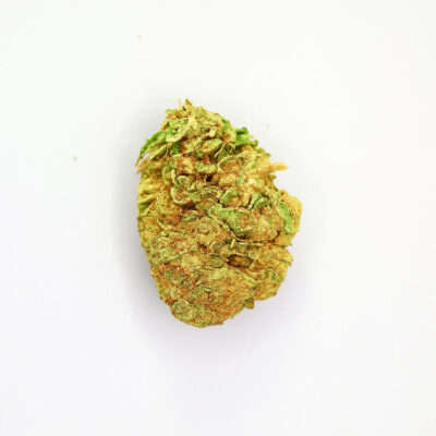 Cogollo de CBD variedad Og Kush sobre fondo blanco.