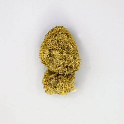 Cogollo de CBD variedad Amnesia Haze Indoor sobre fondo blanco.