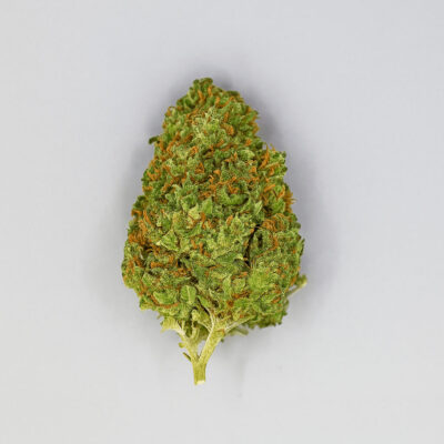 Cogollo de CBD variedad Lemon Kush Pop sobre fondo blanco.