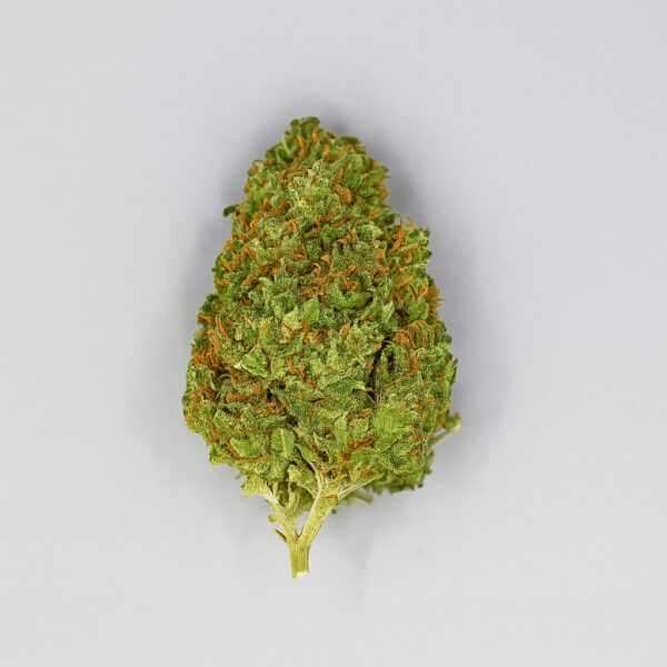 Cogollo de CBD variedad Lemon Kush Pop sobre fondo blanco.
