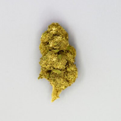 Cogollo de CBD variedad Maracuya sobre fondo blanco.