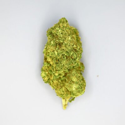 Cogollo de CBD variedad Northern Lights Indoor sobre fondo blanco.