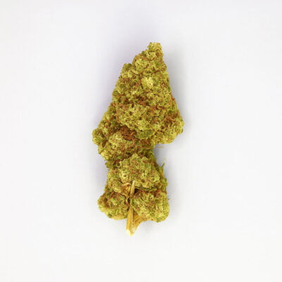Cogollo de CBD variedad White Melon Indoor sobre fondo blanco.