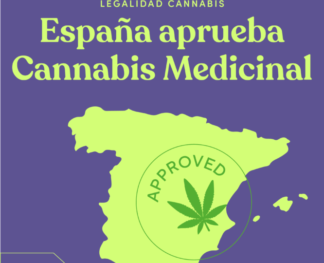Mapa de España en tonos verdes con un sello circular que dice “Approved” y una hoja de cannabis en el centro. El diseño representa la aprobación oficial del uso del cannabis medicinal en España, resaltando la noticia como un avance en la regulación y el reconocimiento médico del cannabis.